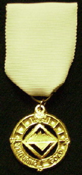Gold Award Medal